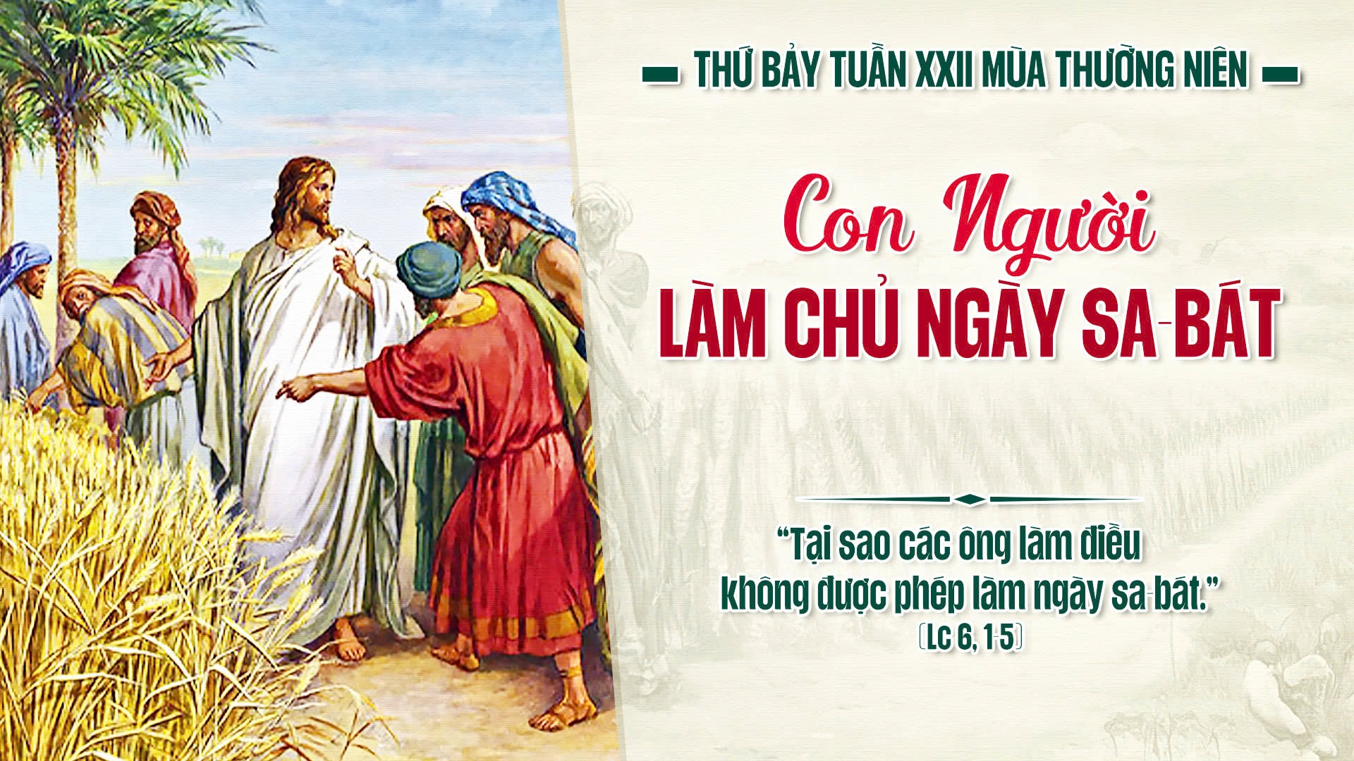 Suy Niệm Lời Chúa | Thứ Bảy Sau Chúa Nhật Tuần XXII Mùa Thường Niên | Lc 6,1-5 | Phút Cầu Nguyện